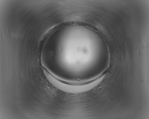 X0000062800872200512290246