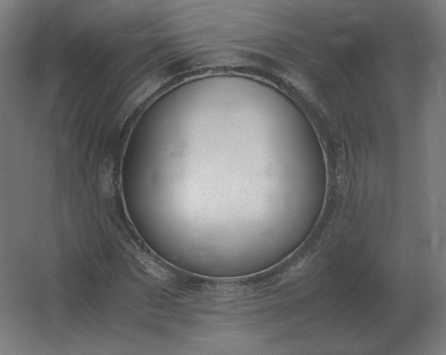 X0000062800873200512290246