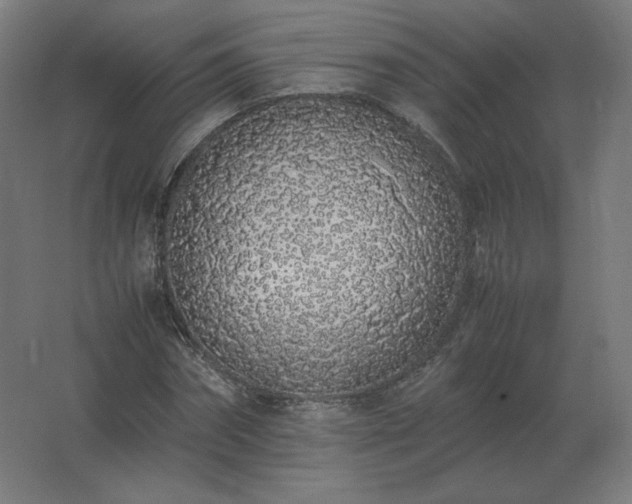 X0000062800874200512290246