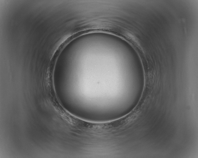 X0000062800875200512290246