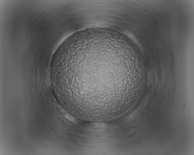X0000062800878200512290246