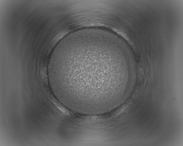 X0000062800881200512290246