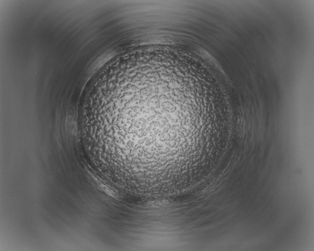 X0000062800882200512290246