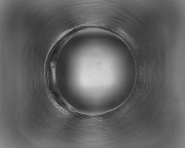 X0000062800884200512290246