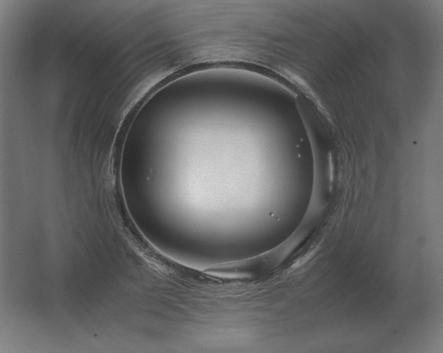 X0000062800885200512290246