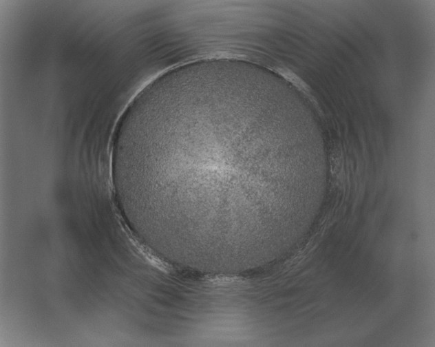 X0000062800886200512290246