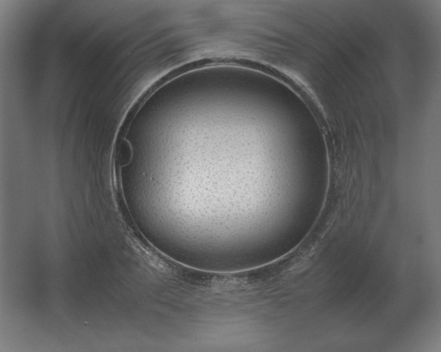X0000062800887200512290245