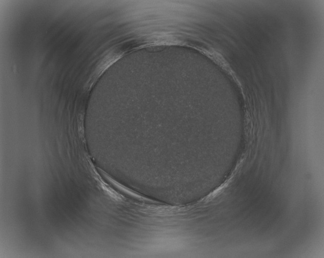 X0000062800889200512290245