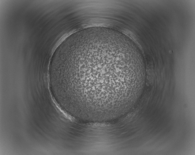 X0000062800890200512290245
