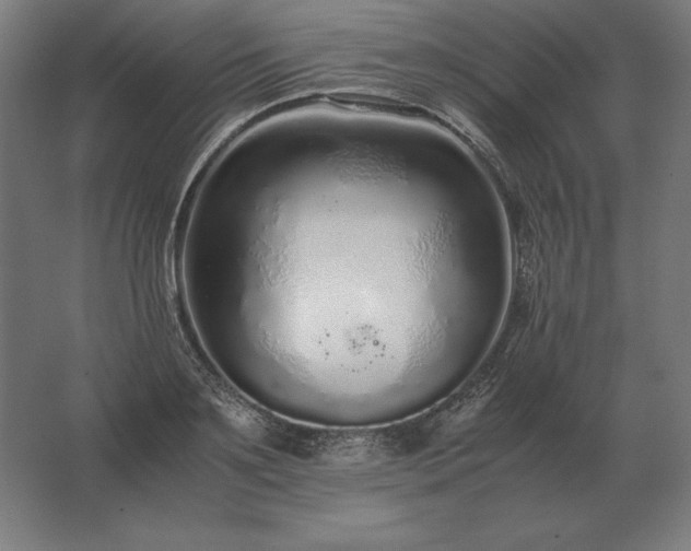 X0000062800891200512290245