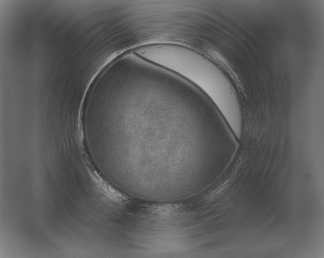 X0000062800892200512290245