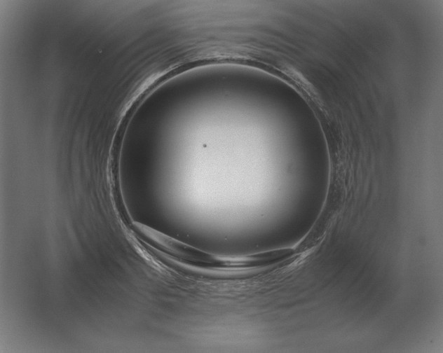 X0000062800893200512290245