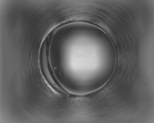 X0000062800894200512290245