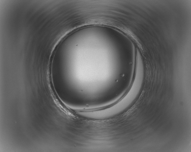 X0000062800896200512290245