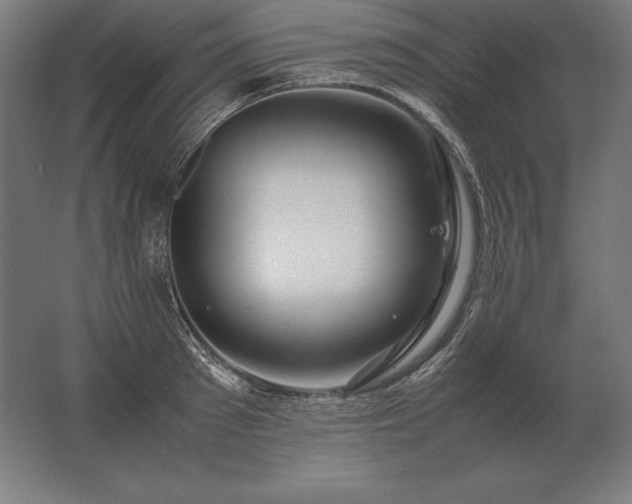 X0000062800897200512290245