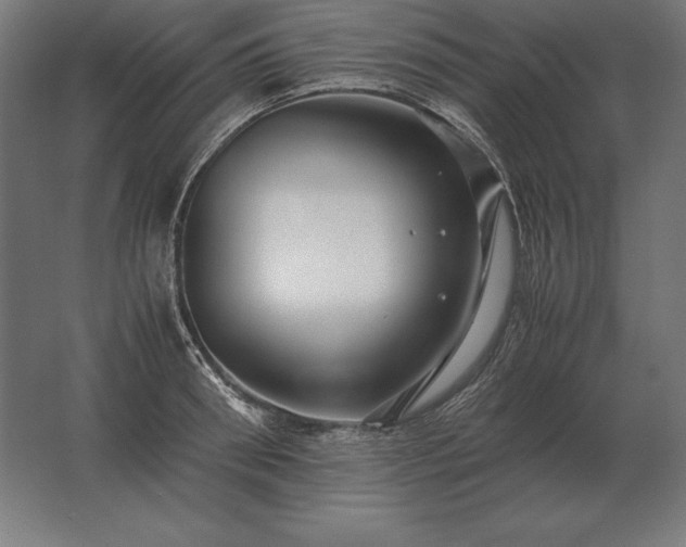 X0000062800898200512290245