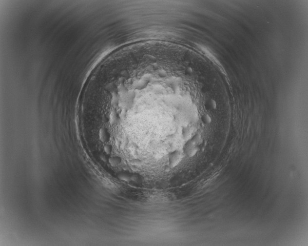 X0000062800899200512290245