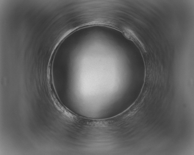 X0000062800900200512290245