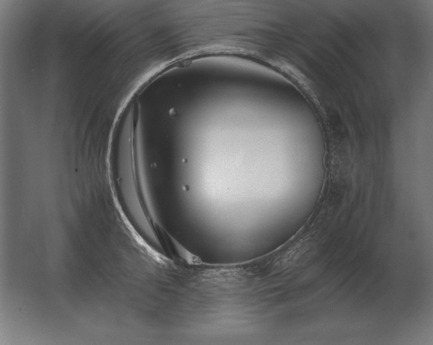 X0000062800902200512290245