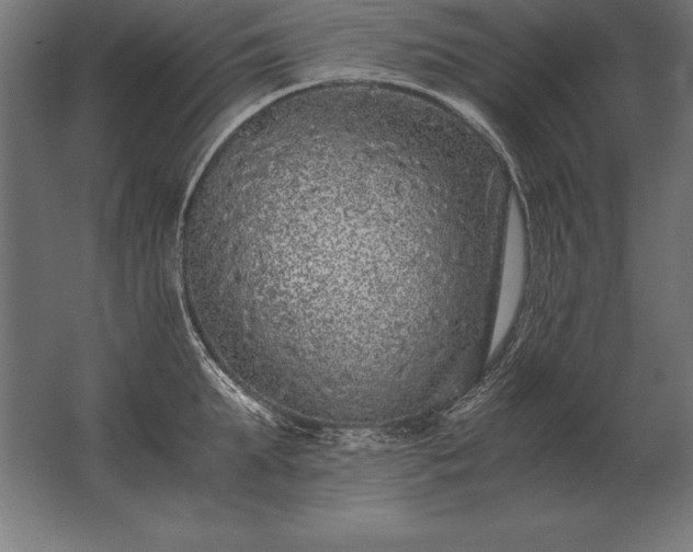 X0000062800903200512290245