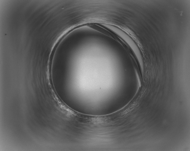 X0000062800904200512290245