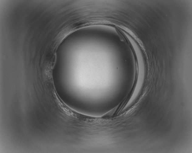 X0000062800905200512290245