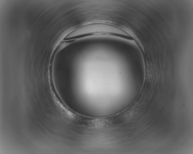 X0000062800906200512290245