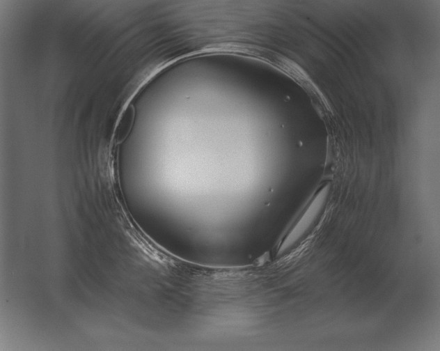X0000062800908200512290245