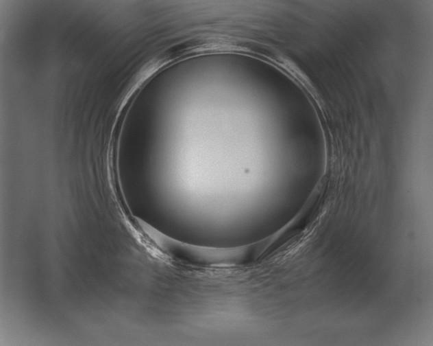 X0000062800909200512290245