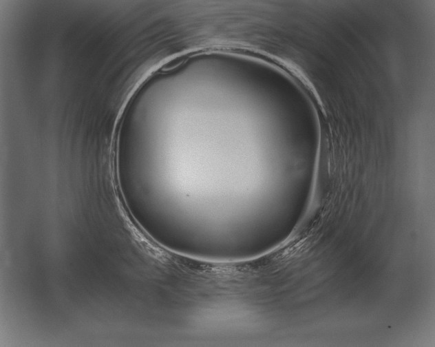 X0000062800911200512290245