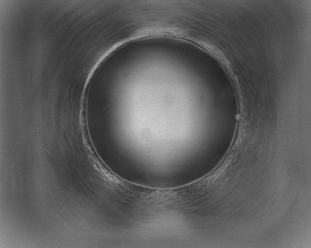 X0000062800912200512290245