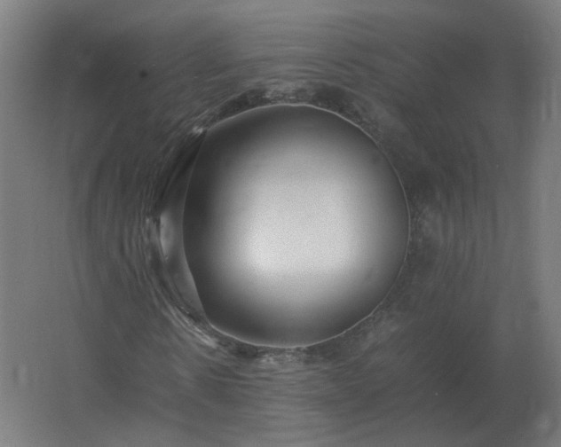 X0000062800914200512290244