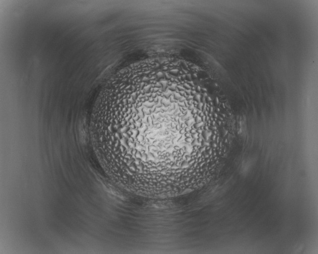 X0000062800915200512290244