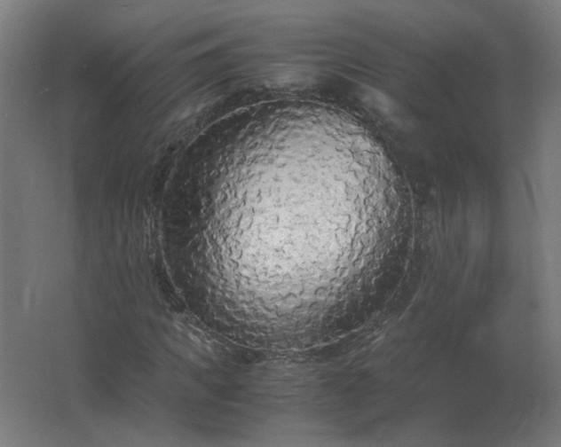 X0000062800917200512290244