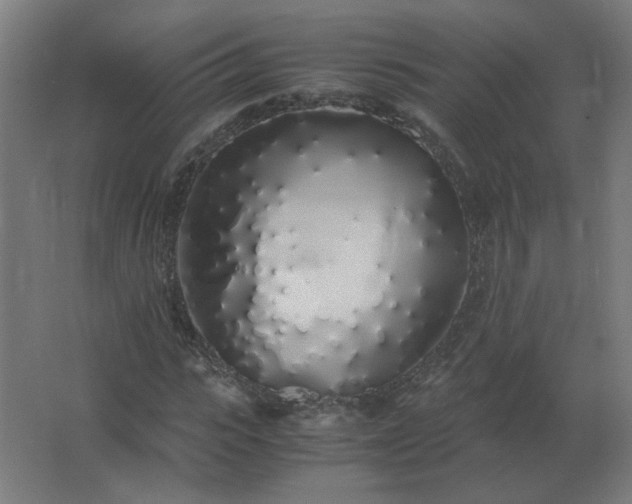 X0000062800919200512290244