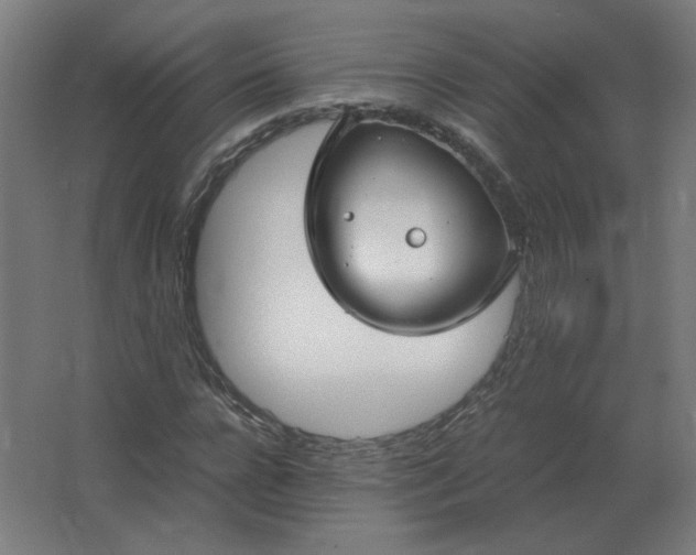 X0000062800920200512290244