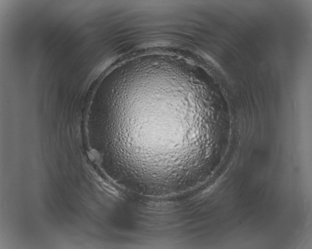 X0000062800921200512290244