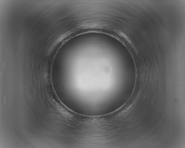 X0000062800922200512290244