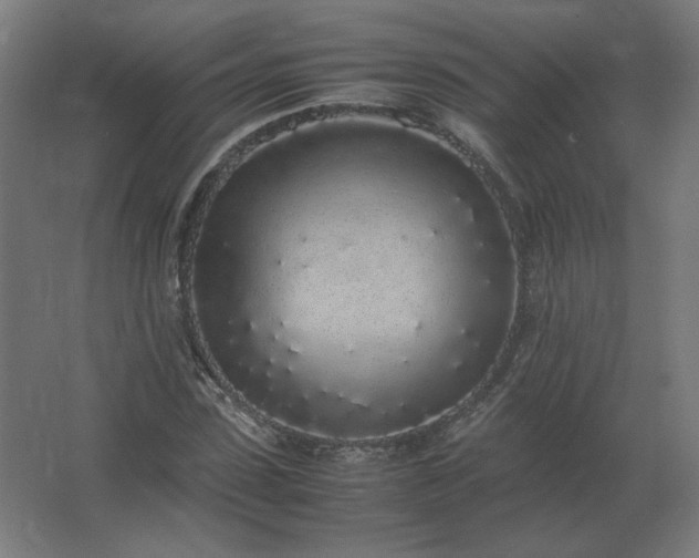 X0000062800923200512290244
