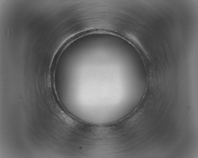 X0000062800924200512290244