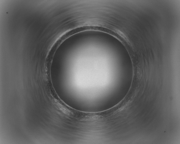X0000062800926200512290244