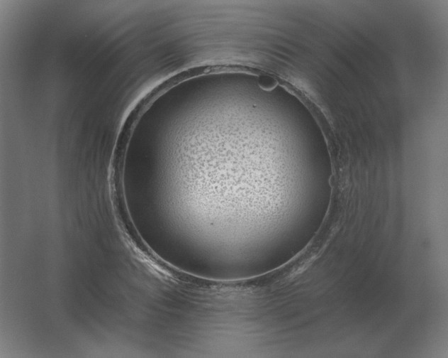 X0000062800928200512290245