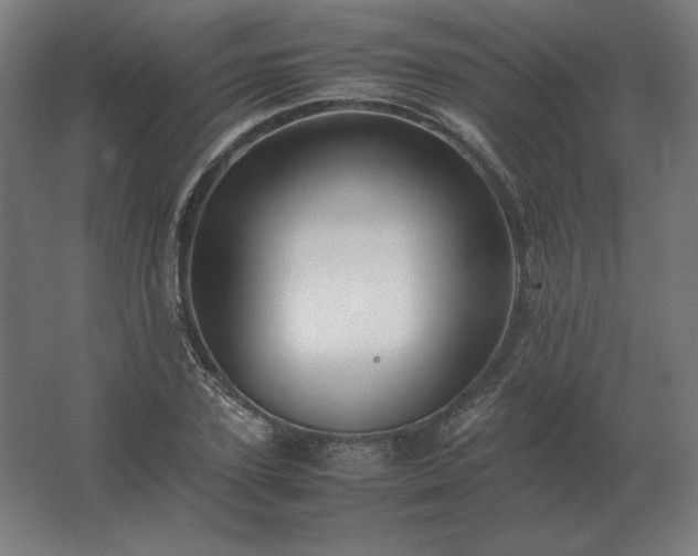 X0000062800931200512290245