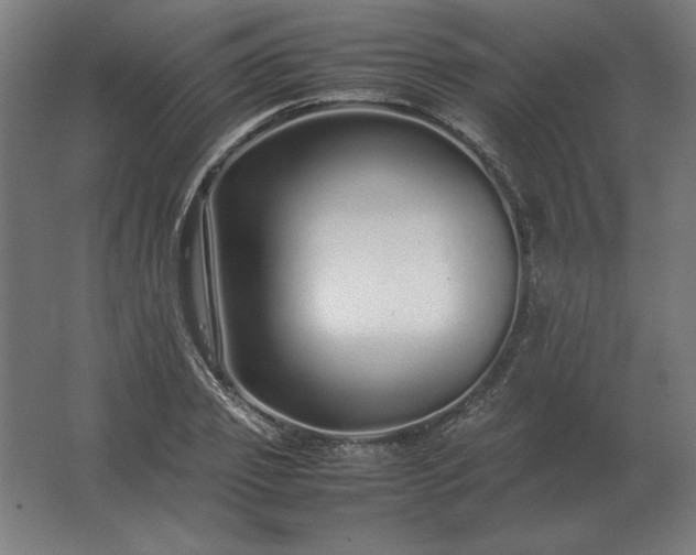 X0000062800933200512290245