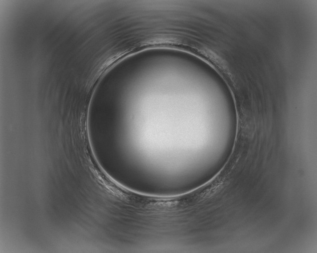 X0000062800937200512290245