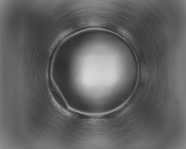X0000062800938200512290245
