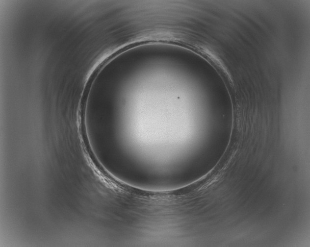 X0000062800944200512290245