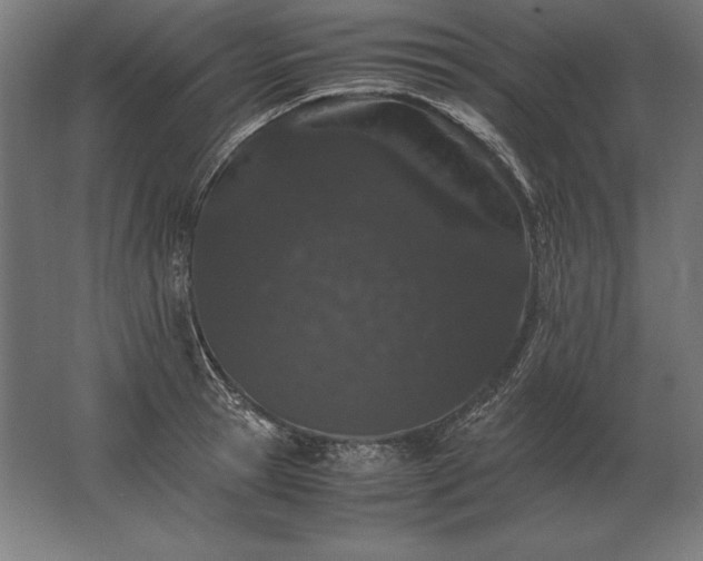 X0000062800945200512290245