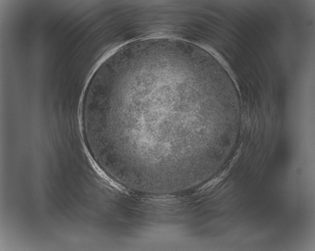 X0000062800957200512290245