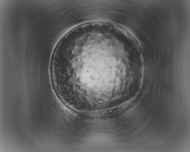 X0000062800959200512290245